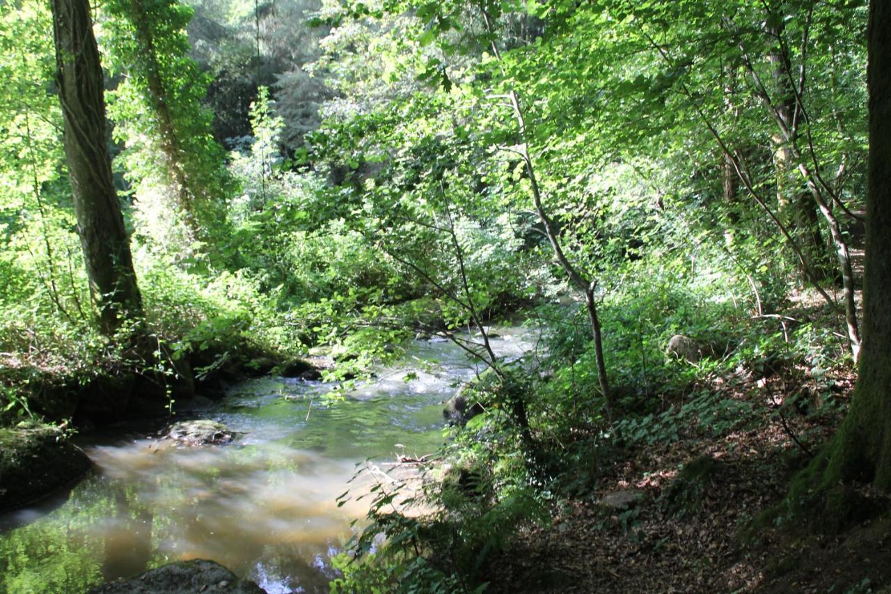 Relais Le Bocage Ξενοδοχείο Pontmain Εξωτερικό φωτογραφία